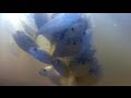 Cast Net Underwater - GoPro Cast Netting