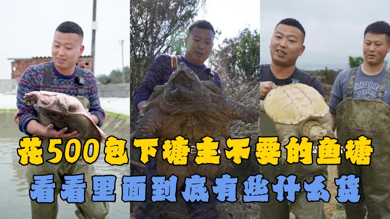 花500元包下抽完水塘主不要的鱼塘，看看里面到底有些什么货？#户外抓鱼 #户外捕鱼 #小飞哥抓鱼 #乡村生活 #农村生活