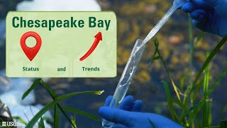 Chesapeake Bay Status and Trends