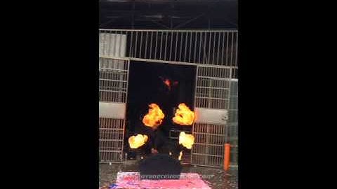 18S-5F-LPG  5 heads fan shape LPG flame projectors