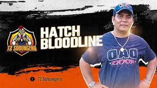 HATCH BLOODLINE    |     T2 SABUNGERO