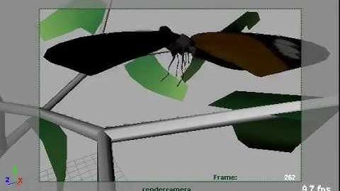 Butterfly Rig Test 2