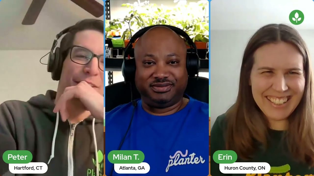 It's winter, sow what? Winter sowing, that's what!