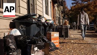 Rats feast on New York’s City's bagged garbage. Can putting it in bins end the smorgasbord?