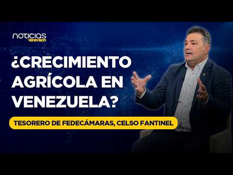 IS THE AGRICULTURAL SECTOR GROWING BY 5%? Celso Fantinel analyzes the official figures and reveal...