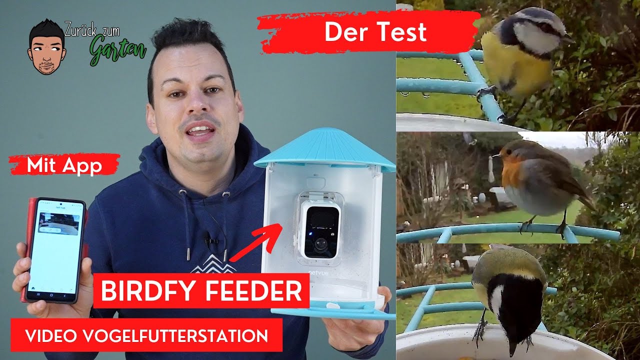 Tweeky Vogelfutterstation Groß – Für Graupapageien & Große Vögel, Sauber, Mit Sitzstange, 19x20 Cm