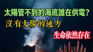 没有太阳的地方，生命依然存在，深海生物如何做到？