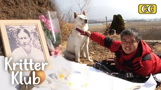 Disabled Man Visits His Mom After 25 Years Thanks To The Smart Dog | Kritter Klub