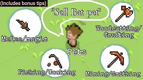 Ultimate Beginners guide Curse of Aros 2022/2023