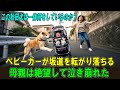 【奇跡の実話】秋田犬が坂道を猛スピードで下る2歳の赤ちゃんのベビーカーを体を張って止めた。母親は涙を流し、その直後、奇跡が起こった。