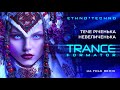Тече річенька невеличенька Етно транс 2025 Ukrainian Ethno Trance Techno Folk Remix