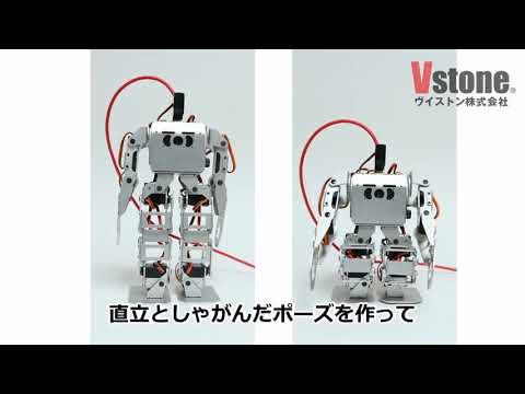 【二足歩行】Robovie-nanoのモーションを作る