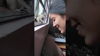 Rescued Chipmunk Weaving Owner’s Hair