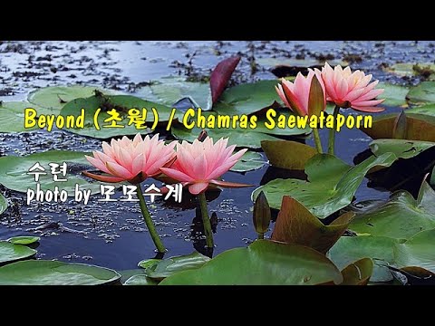 수련 &amp;amp; Beyond (초월) / <strong>Chamras</strong> Saewataporn &amp;amp; photo by 모모수계