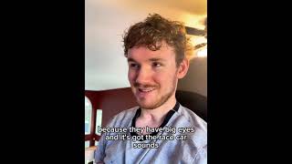 What does Josh like to watch on TV?