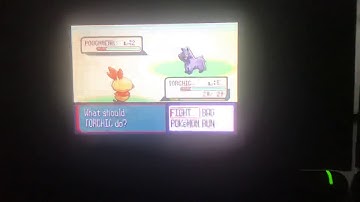 SHINY TORCHIC AFTER 2586 SOFT RESETS!