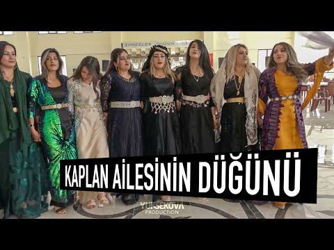 Video: Mutluluk Diyarında Kaplan Yuvası