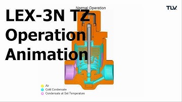 Operation Animation: LEX-3N TZ Temperature Control Steam Traps