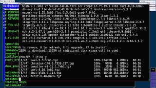 Installing software on my NetBSD 10.1 workstation Details