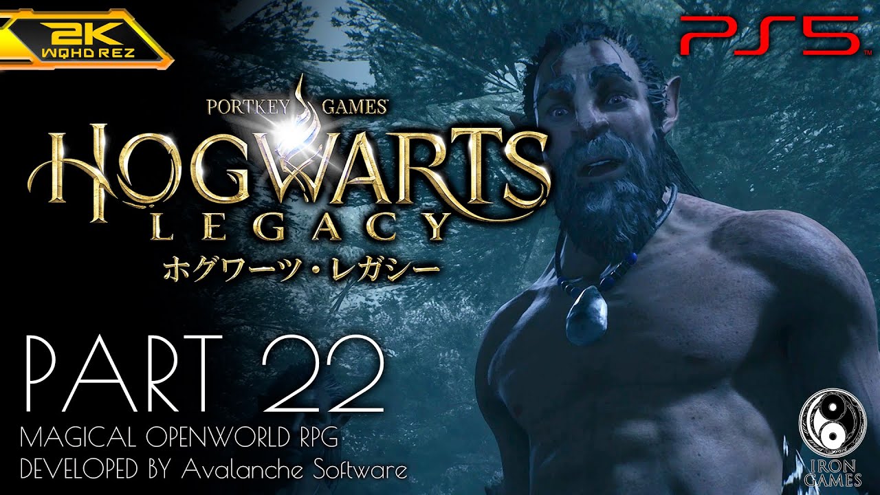 #22【ホグワーツ・レガシー攻略】メインクエスト「OWLの準備」不発生バグ対策紹介【Hogwarts Legacy】