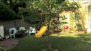 Exclusive What is a deciduous tree? Profile