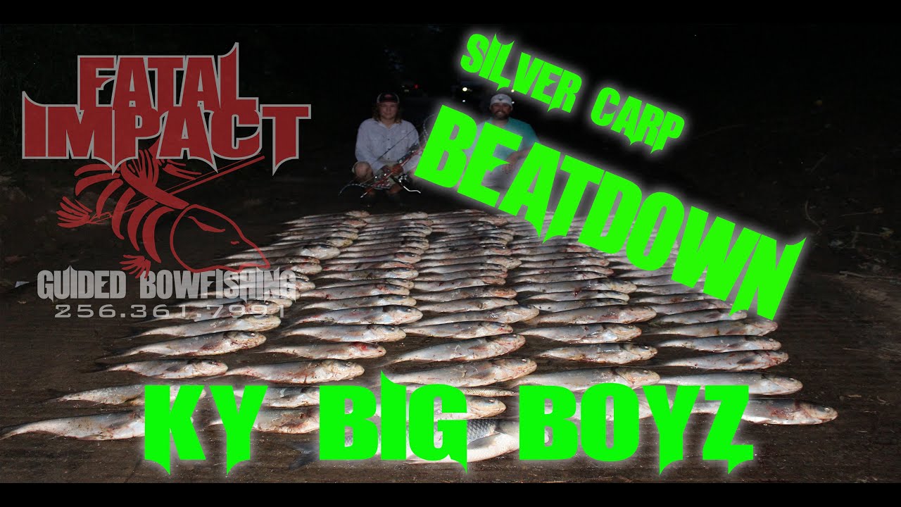 Silver Carp BEATDOWN with KY Big Boyz Bowfishing