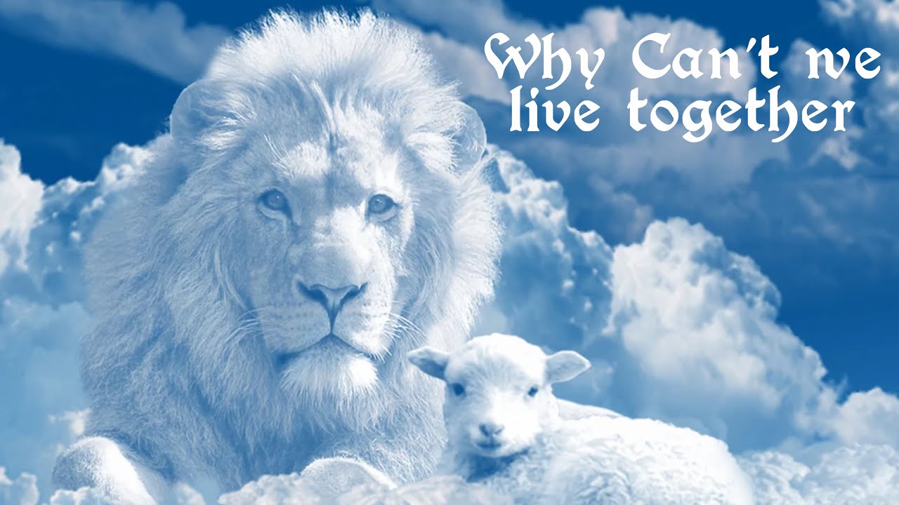 Why Can't We Live Together