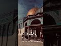ع العهد مازالت 