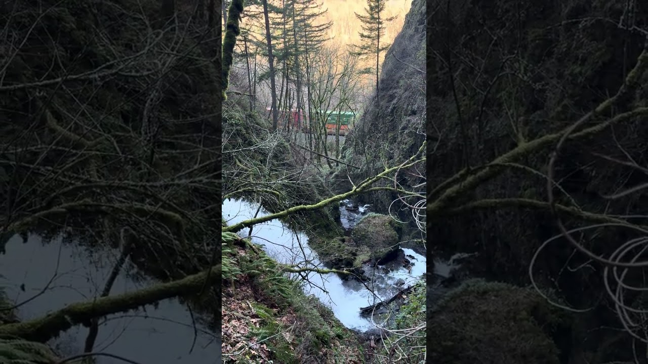 Train going by Shepperds Dell 