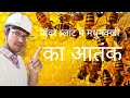 पावर प्लांट में मधुमक्खियों को कैसे भगाया गया वीडियो देखिए/