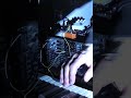 Korg Minilogue into Dreadbox Disorder &amp; Walrus Audio Fable