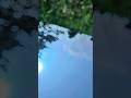 धूप में निकला ना करो रूप की रानी ☀️🔥 #Trending #shortsfeed #ternding #Viral#shorts