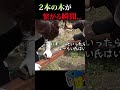 2本の木を繋げる方法！！ #shorts