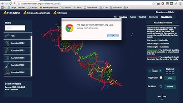 EteRNA 3D RNA Motif Assembler