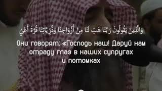 Сура 25 «Различение», аяты: 72-75. Чтец: Мухаммад аль-Люхайдан.