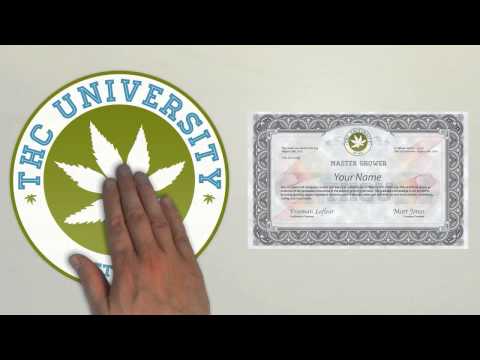 thc-university-how-it-works-for-you