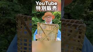 【竹虎】Youtube特別販売！1点限りNHK朝ドラ「らんまん」で注目！牧野富太郎博士が命名した土佐虎斑竹で虎竹野冊