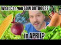 What seeds Can You Direct Sow in April?