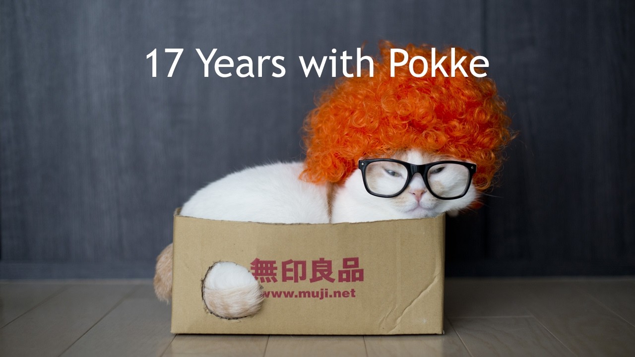 ポッケと過ごした17年間