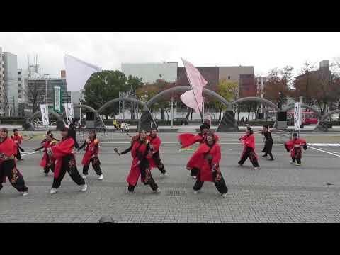 「桜花女 」四日市よさこい やったろ舞2017