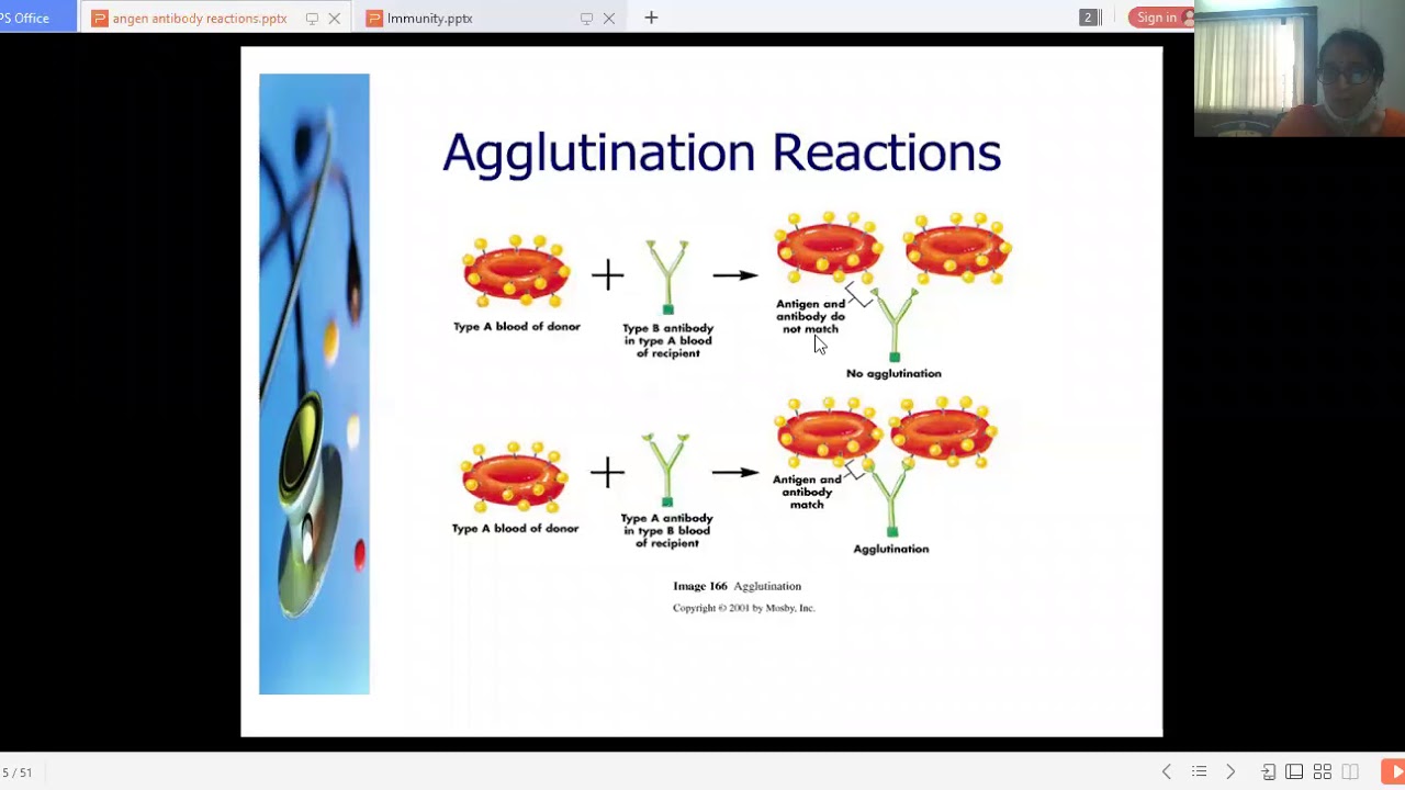 Immunity Part-V by Dr. Gholap R.K. - YouTube