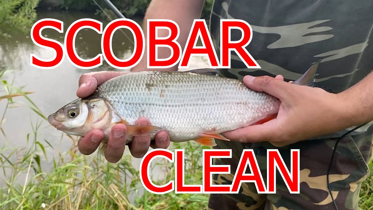 Scobar si clean la pluta pe canicula