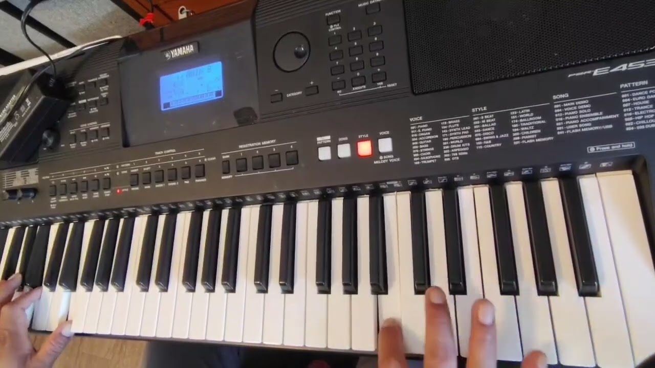 Chilena mixteca al estilo banda NK 