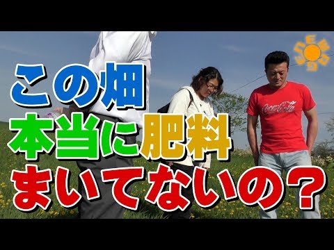 YouTube ポスター