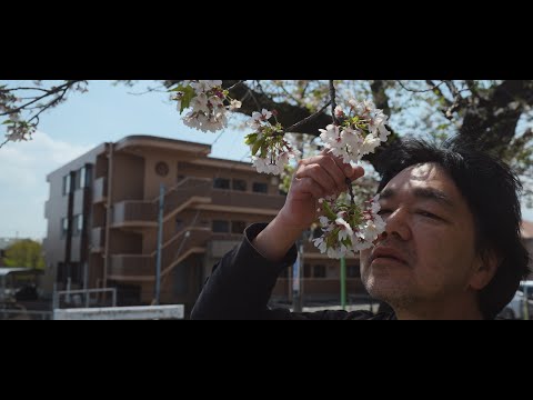 桜満開 2025年4月13日 植木の春の桜散策