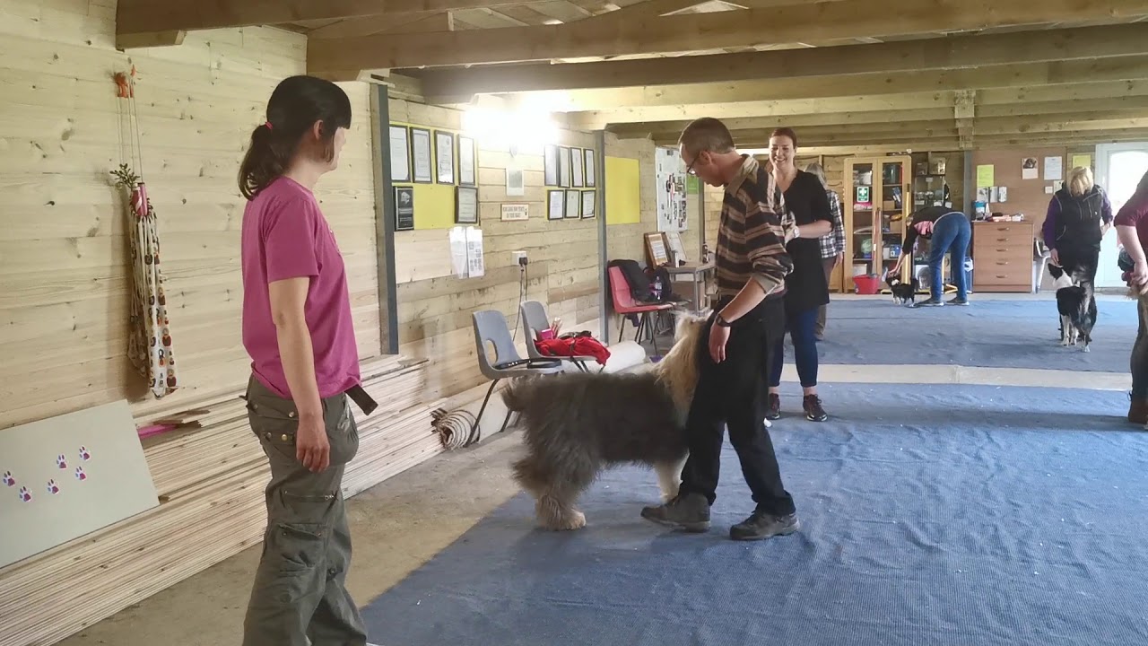 Piper trains Richard