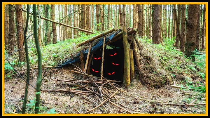 Bushcraft Camp [S02/E09] 2 Jahre Grubenhaus - Lagerbau Outdoor Shelter