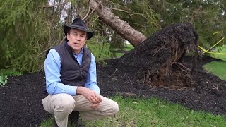 Famous Is your home prepared for spring storms? Net Worth