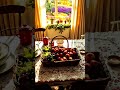 Cozy Green Cottage Tour 🌿 Vintage Decor Summer Vibes
