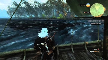 Witcher 3 Bug on Boat